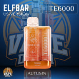 ELFBAR TE6000 Puffs Disposable Vape Box – Dubai UAE 2025