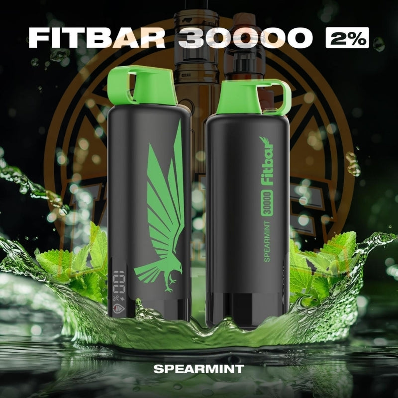 Affordable FITBAR 30000 Puffs Vape Dubai Fast Delivery