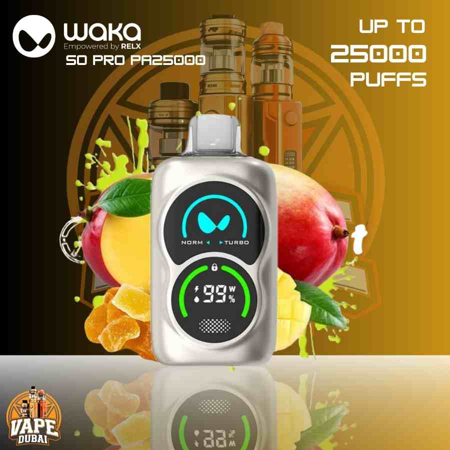 WAKA SoPro PA25000 with Dubai city background