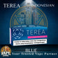 TEREA Indonesian Tobacco Sticks for IQOS ILUMA Dubai UAE