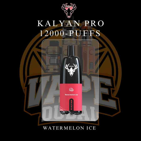 Buy Kalyan 12000 Puffs Vape Online in Dubai