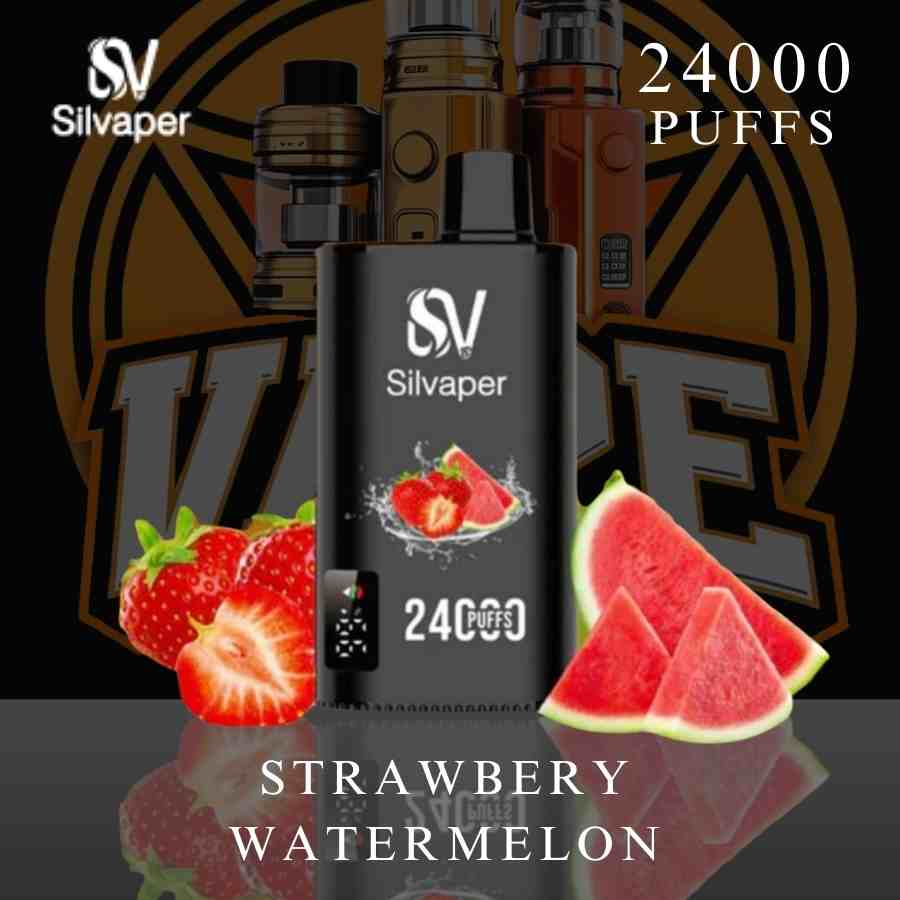 Silvaper 24000 Puffs 50MG Disposable Vape Dubai front view