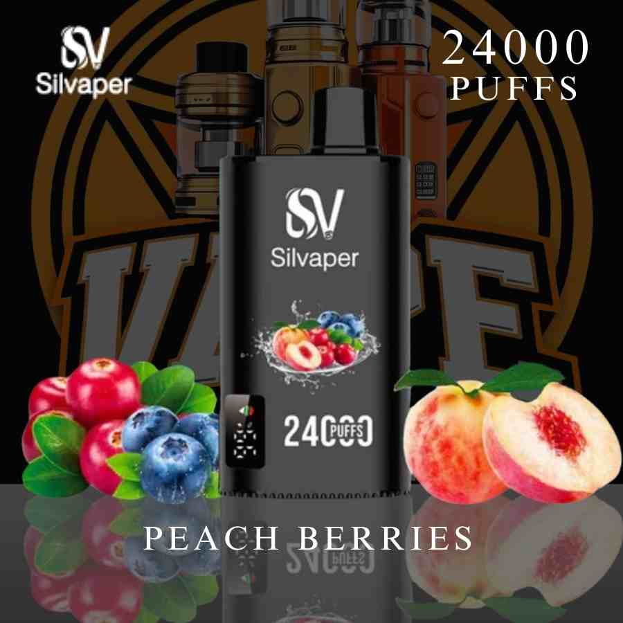 Silvaper 24000 Puffs 50MG Disposable Vape USB-C charging port Dubai