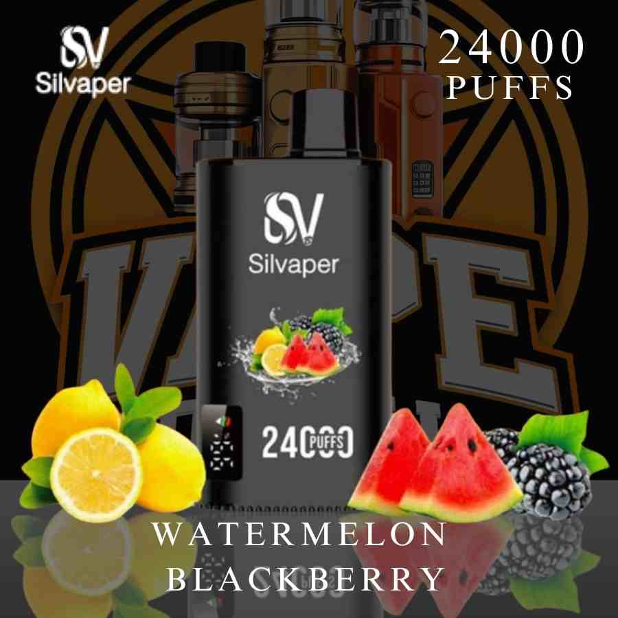 Silvaper 24000 Puffs 50MG Disposable Vape packaging Dubai

